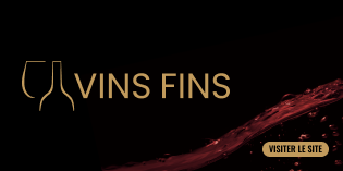 MEGAMENU-VINS-FINS FR.png